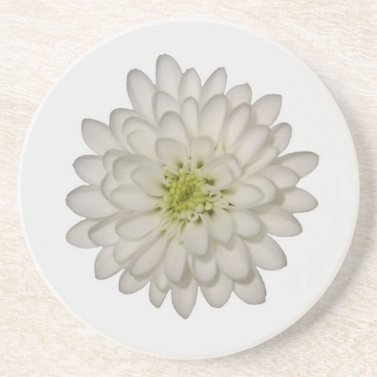 White Chrysanthemum Sandstone Untersetzer (Vorne)