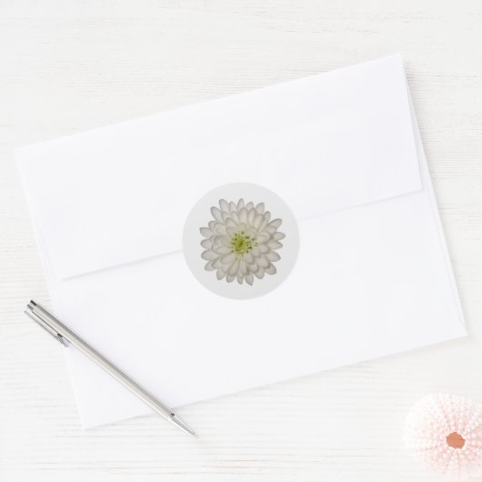 White Chrysanthemum Stickers (Umschlag)