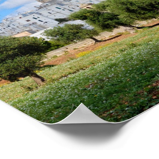 White city Ostuni with olive trees, Puglia poster (Ecke)