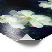 White Clematis Blume Pair Abstrakt 8x10 Fotodruck (Ecke)