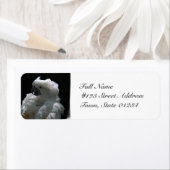 White Cockatoo Bird Mailing Labels (Insitu)