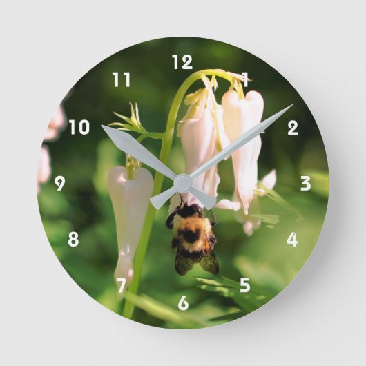 White Columbine Flower And Bumble Bee Runde Wanduhr (Vorderseite)