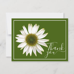 White Coneflower Green Hintergrund Vielen Dank Postkarte