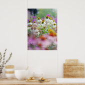 White Coneflowers Echinacea White Swan Poster (Küche)