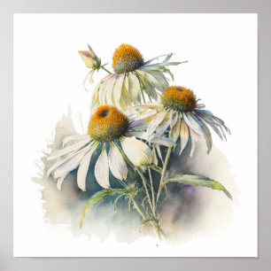 White Conefwers Art Print Poster