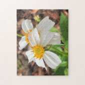White Cosmo Blume Garten Frühlingsflora Nah Puzzle (Vertikal)