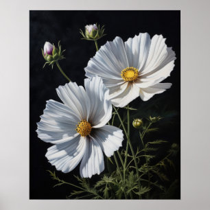 White Cosmos Blume Art Print Poster