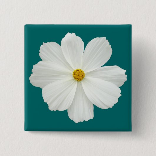 White Cosmos-Blume Button (Vorderseite)