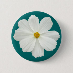 White Cosmos-Blume Button