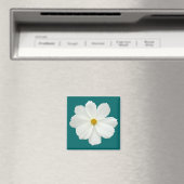 White Cosmos-Blume Magnet (In Situ (Geschirrspüler))