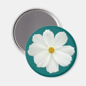 White Cosmos-Blume Magnet (Vorderseite/Rückseite)