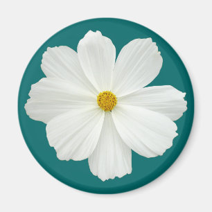 White Cosmos-Blume Magnet