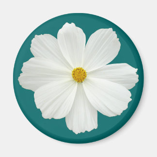 White Cosmos-Blume Magnet