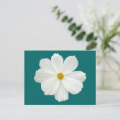 White Cosmos-Blume Postkarte (Stehend Vorderseite)