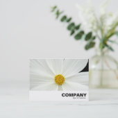 White Cosmos-Blume Visitenkarte (Stehend Vorderseite)