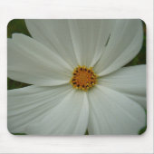 White Cosmos Sommer-Wildblume Mousepad (Vorne)