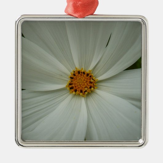 White Cosmos Sommer-Wildblume Ornament Aus Metall (Vorne)