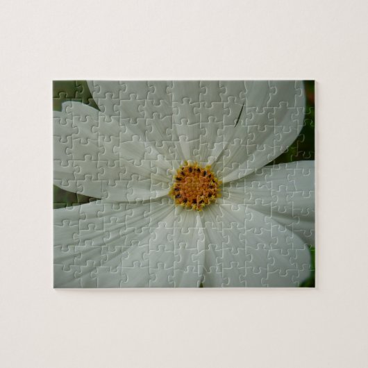 White Cosmos Sommer-Wildblume Puzzle (Horizontal)