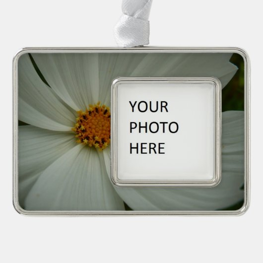 White Cosmos Sommer-Wildblume Rahmen-Ornament Silber (Vorderseite)