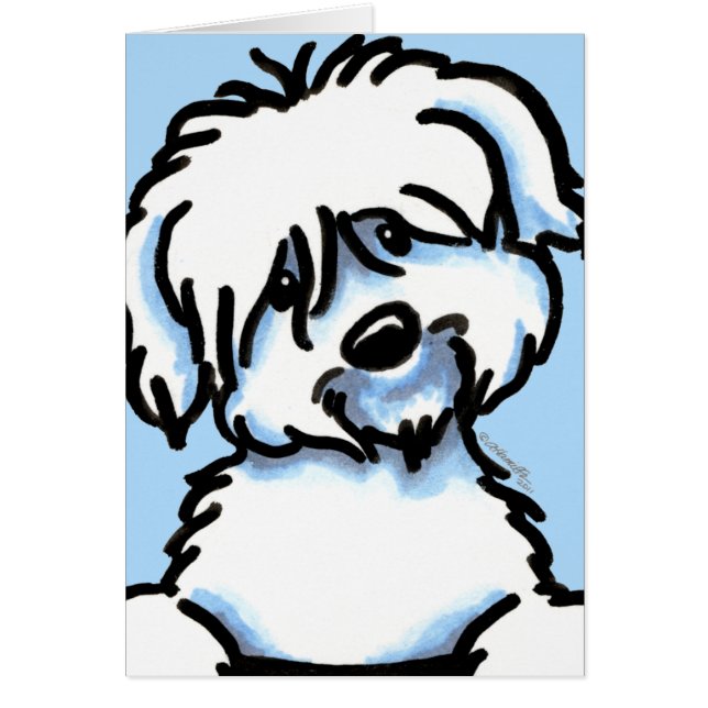 White Coton de Tulear Face (Vorne)