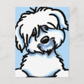 White Coton de Tulear Face Postkarte (Vorderseite)