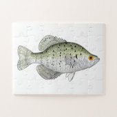 White Crappie Magnet Puzzle (Horizontal)