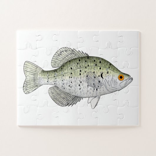 White Crappie Magnet Puzzle (Horizontal)