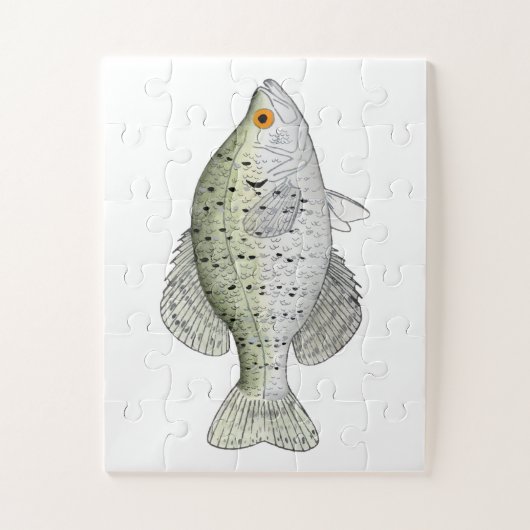 White Crappie Magnet Puzzle (Vertikal)