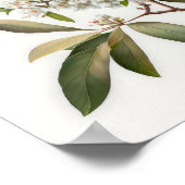 White Crepe Myrtle Blume Art Print Poster (Ecke)