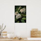 White Crepe Myrtle Blume Art Print Poster (Küche)