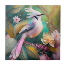 White Creush Blush Schwanz Jay Fantasy Bird