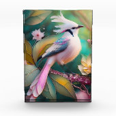 White Creush Blush Schwanz Jay Fantasy Bird Fotoblock (Vorderseite)