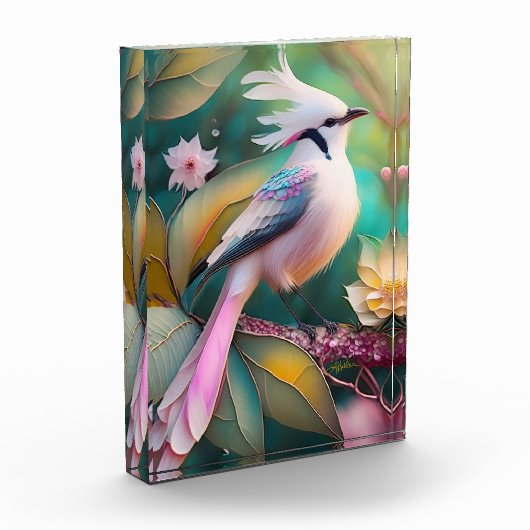 White Creush Blush Schwanz Jay Fantasy Bird Fotoblock (Links)