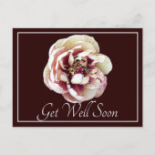 White & Crimson Peony Wein Hintergrund wird gut Postkarte (Vorderseite)