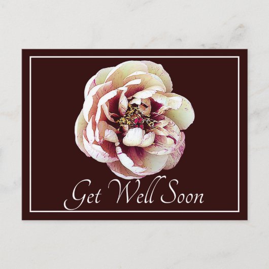 White & Crimson Peony Wein Hintergrund wird gut Postkarte (Vorderseite)