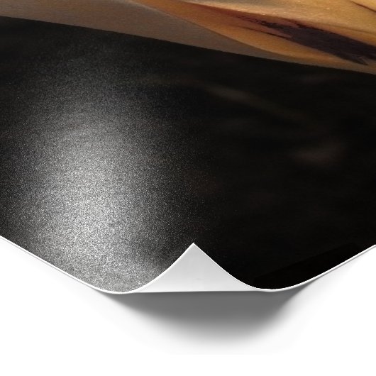 White Crocus über das dunkle Background Foto (Ecke)