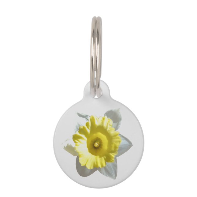 White Daffodil Pet Tag Haustiermarke (Vorderseite)