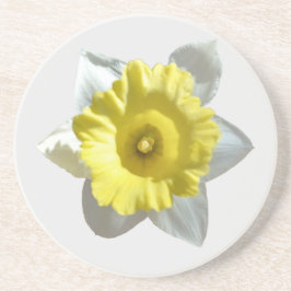 White Daffodil Sandstone Untersetzer