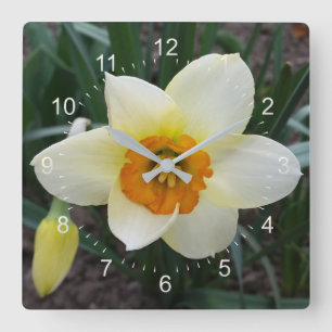 white daffodil shining quadratische wanduhr