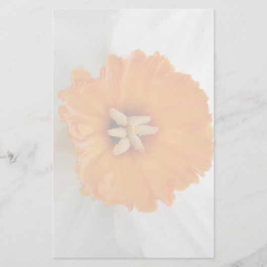 White Daffodil Stationery Briefpapier (Vorderseite)