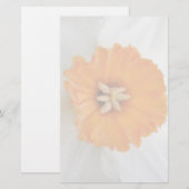 White Daffodil Stationery Briefpapier (Vorne/Hinten)