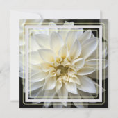 White Dahlia Blume Einladung (Rückseite)