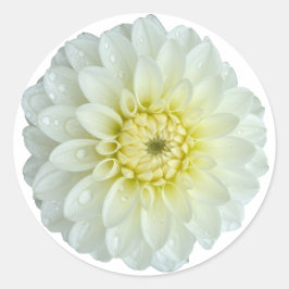 White Dahlia Blume Runder Aufkleber