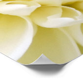 White Dahlia Poster (Ecke)