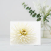 White Dahlia Postkarte (Stehend Vorderseite)