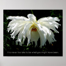 White Dahlia weinend, inspirierendes Zitat