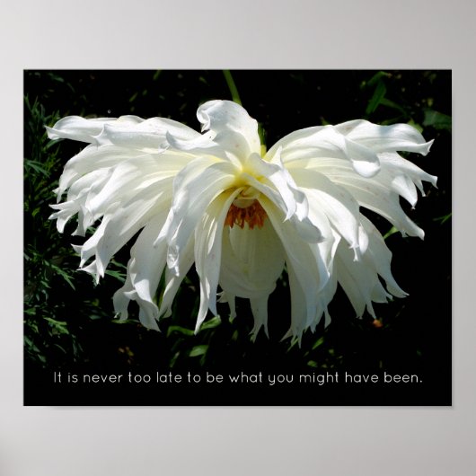 White Dahlia weinend, inspirierendes Zitat Poster (Vorne)