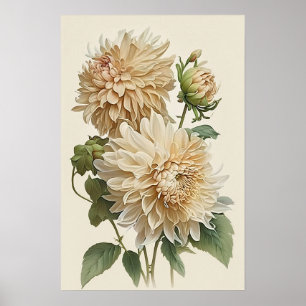 White Dahlias Blume Art Print Poster