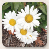 White Daises Untersetzer (Vorderseite)