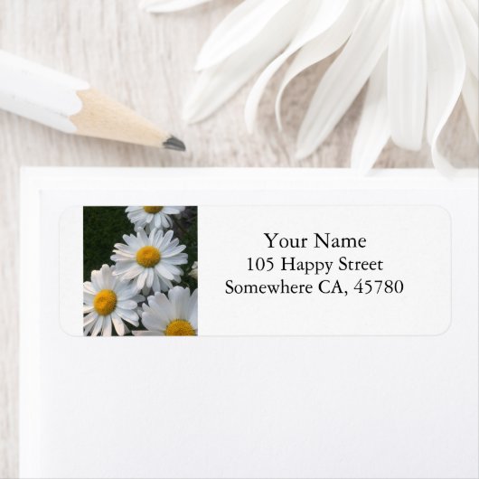 White Daisies (Insitu)